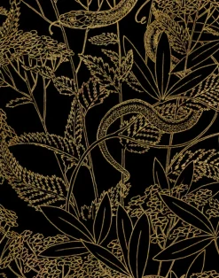 Garden Snake, Black