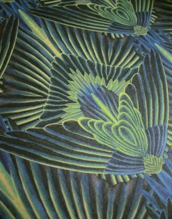 Gershwing, Parakeet