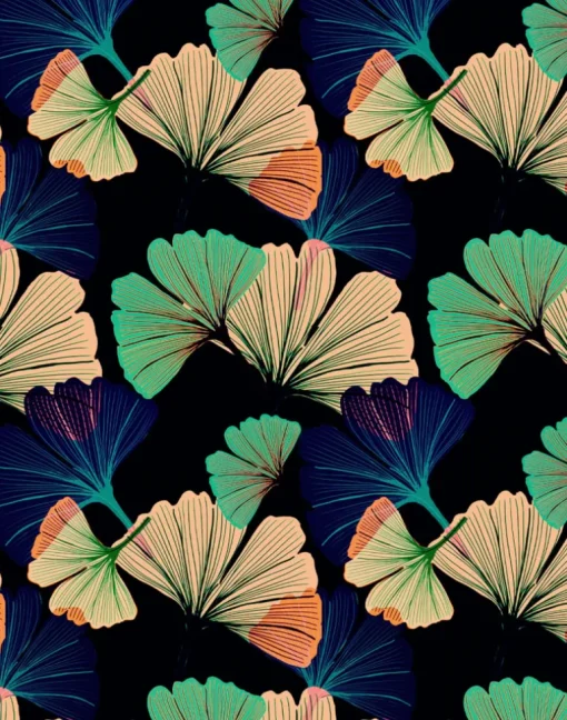 Ginkgo, Black