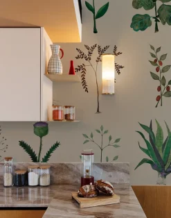 Herbarium, Kraft