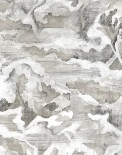 HIDDEN CLOUDS LEAD