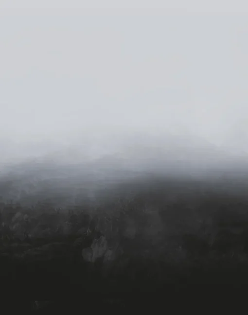 Horizon WPLC0199