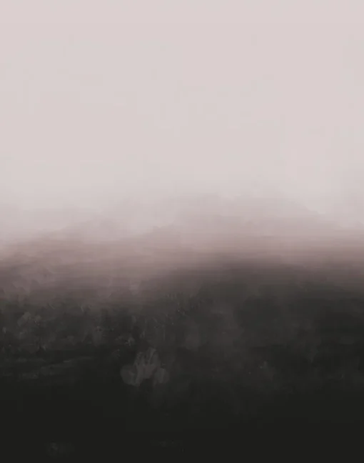 Horizon WPLC0196