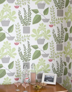 House Plants, Olive
