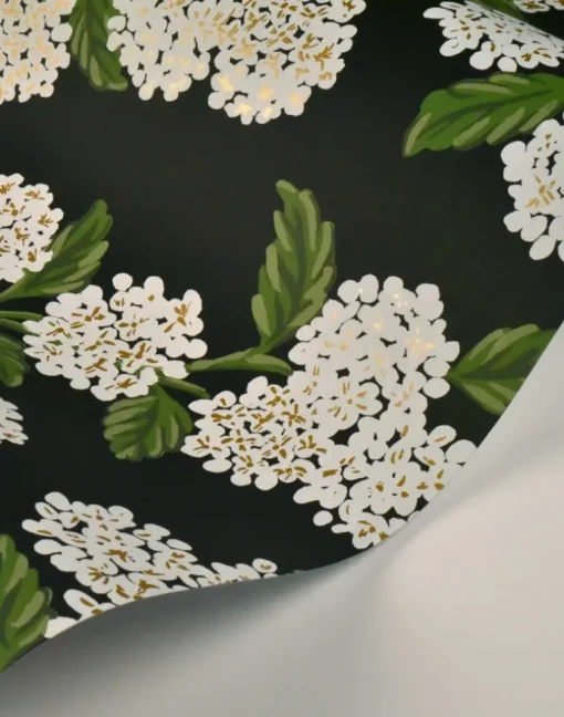 Hydrangea, Black & White RI5146
