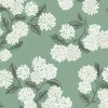 Hydrangea, Jade RI5145