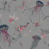 Jellyfish, Grey