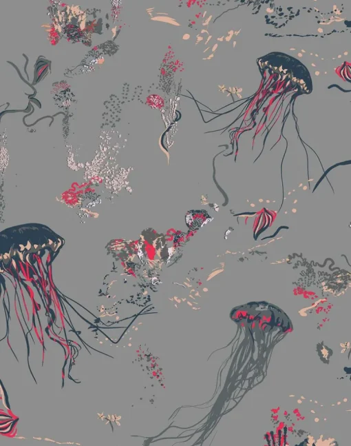 Jellyfish, Grey