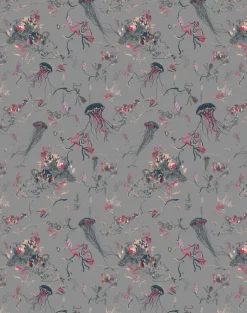 Jellyfish, Grey