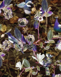 Jewel Birds, Unique
