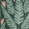 Jungle, Rainforest