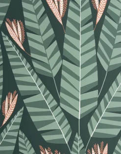 Jungle, Rainforest