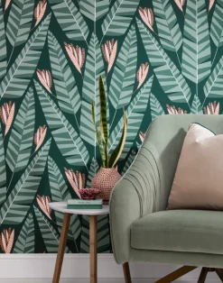Jungle, Rainforest