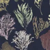 Kelp Forest, Deep Sea