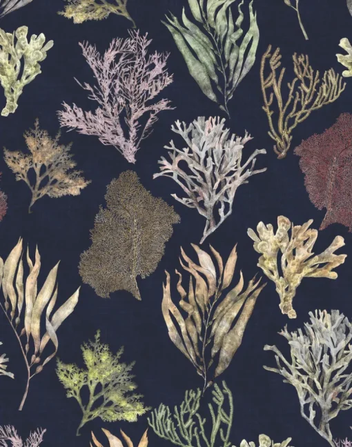 Kelp Forest, Deep Sea