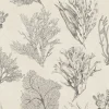 Kelp Forest, Parchment Cream