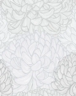 Kiku, Silver