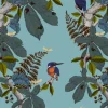Kingfisher, Original on Blue