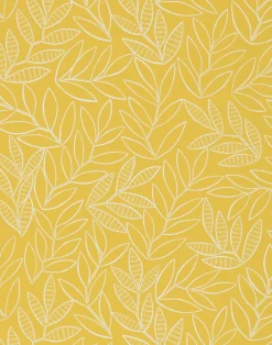 Laurus, Saffron