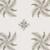 Lizard Orchid, Natural