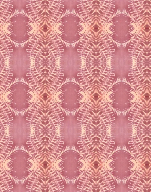 Lumière, Sorbet