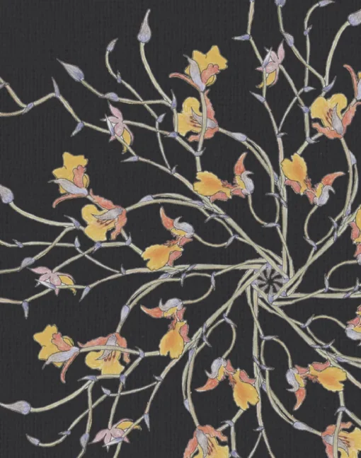 Madidi Gold Orchid, Slate