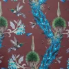 Madidi Hummingbirds, Oxblood