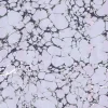 Margate Marble, Midnight Lavender