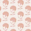 Marigold, Pink Indian Sunset