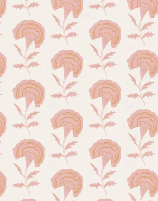 Marigold, Pink Indian Sunset