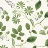 Meadowlane, Ivory
