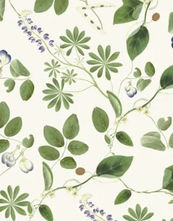 Meadowlane, Ivory