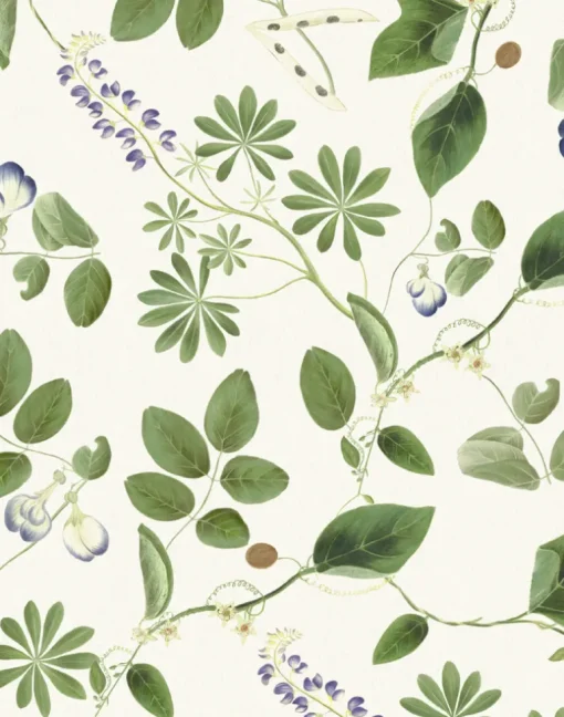 Meadowlane, Ivory
