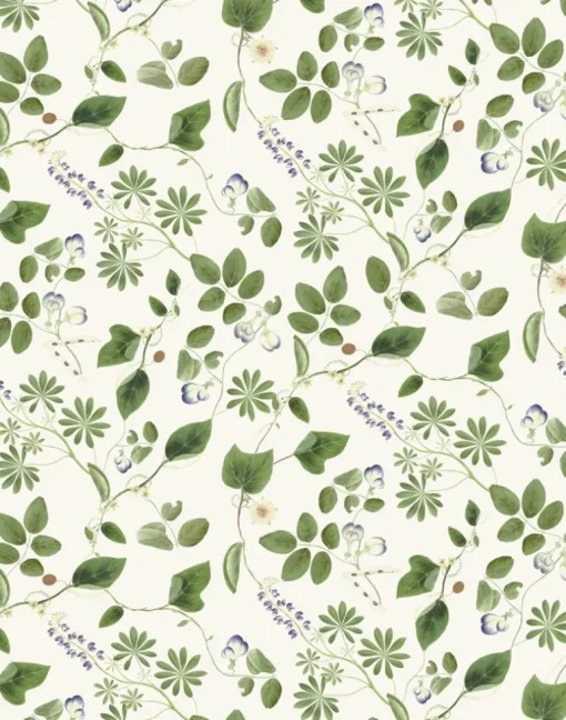 Meadowlane, Ivory