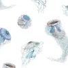Medusa, Glacier