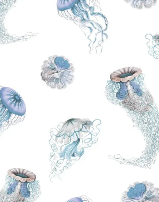 Medusa, Glacier