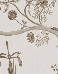 Mercia Vines, Sepia