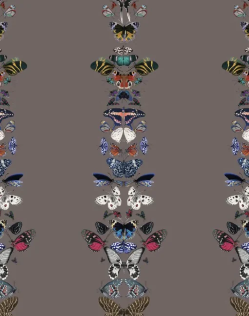 Metamorphosis W-MET-SAD-ENF