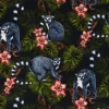 Midnight Madagascar