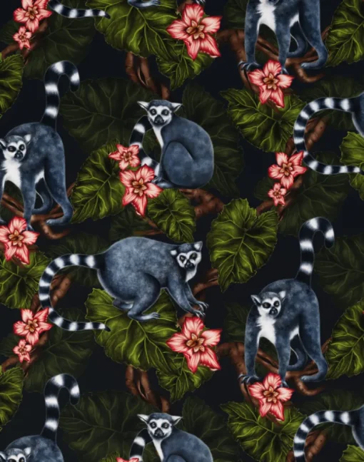 Midnight Madagascar