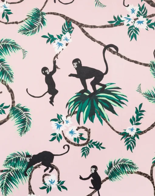 Monkey, Pale Pink