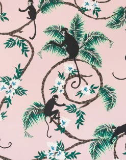 Monkey, Pale Pink