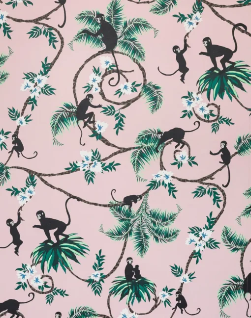Monkey, Pale Pink