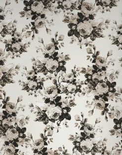 Moody Bloom, Cream