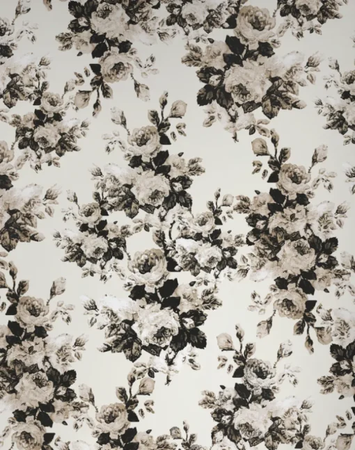 Moody Bloom, Cream