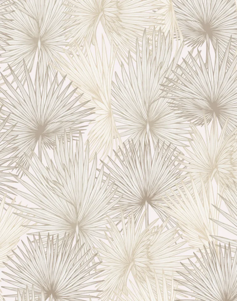 Nobilis Palm, Sunlit