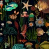 Oceania