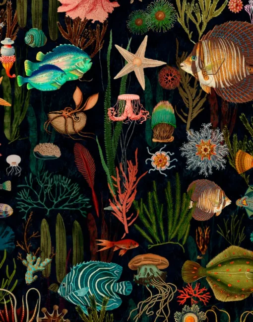 Oceania