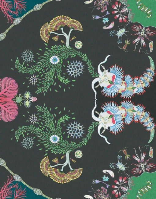 Paisley Paramecium Medium Scale, Haeckel