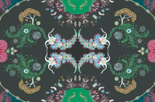 Paisley Paramecium Medium Scale, Haeckel